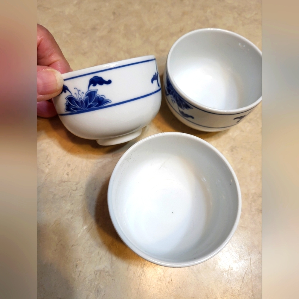Delicate Cups and Saucers for Tea in Blue & White Oriental Design